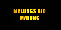 Malungs bio